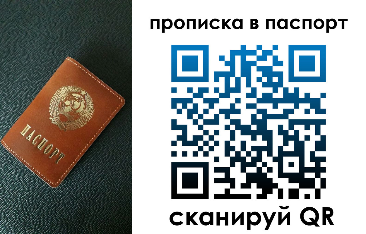 купить прописку в Мончегорске